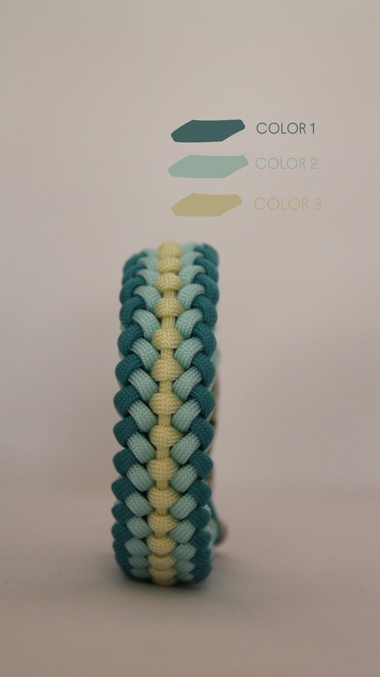 Personaliza el Collar Vértebra