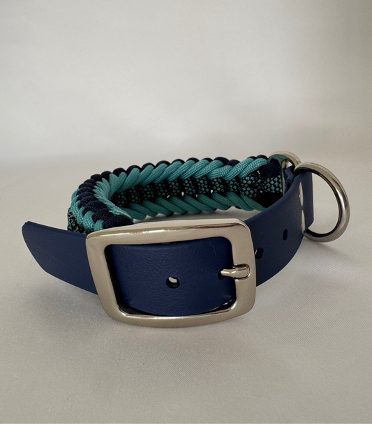 Vértebra Diamond Océano