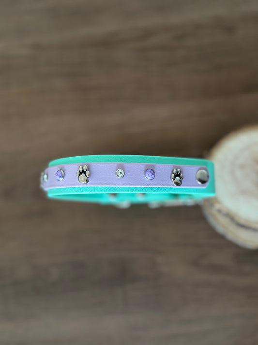 Collar Biothane - Doble capa menta y lila pastel